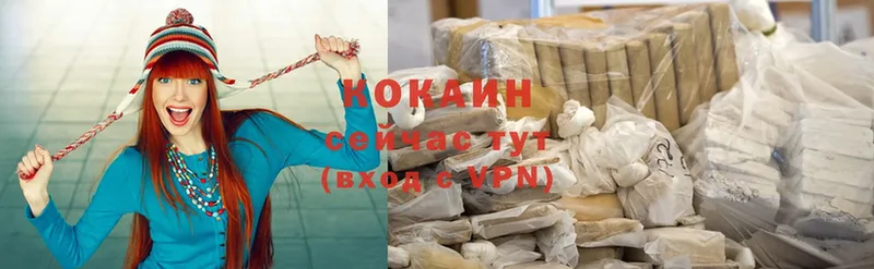 где купить наркоту  Кировск  COCAIN VHQ 